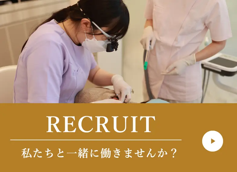 採用情報